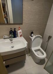 The Lakefront Residences (D22), Condominium #504633581